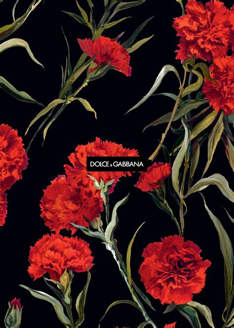 dolce gabbana wallpaper iphone